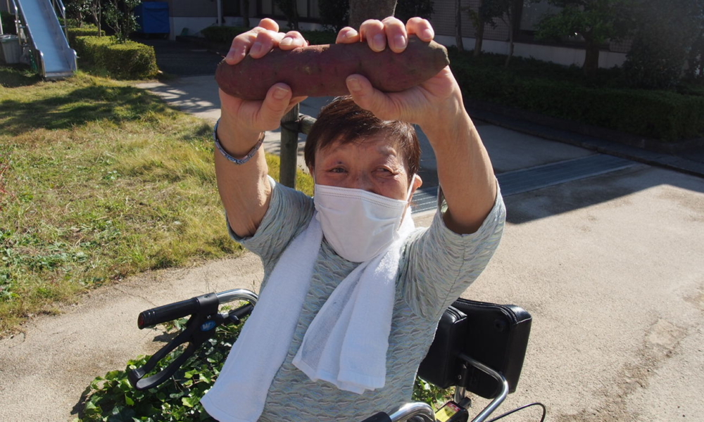 さやま園贅沢な芋ほり8