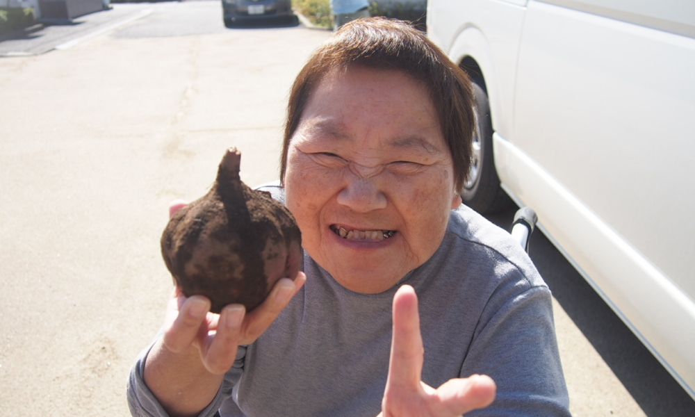 さやま園贅沢な芋ほり2