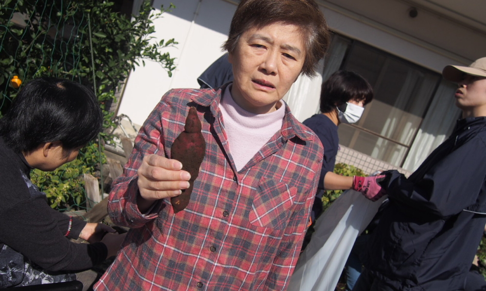 さやま園贅沢な芋ほり12