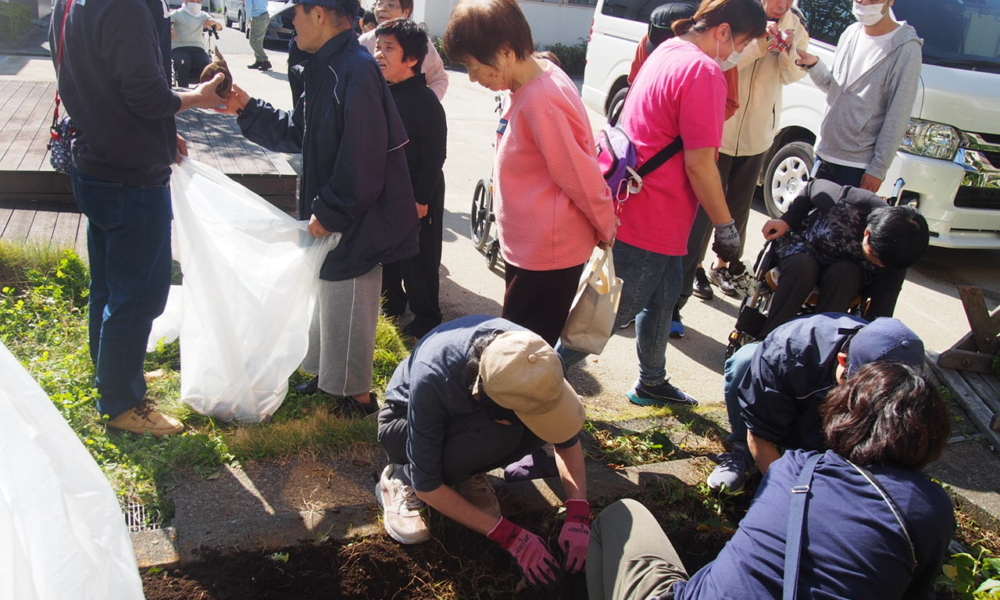 さやま園贅沢な芋ほり5