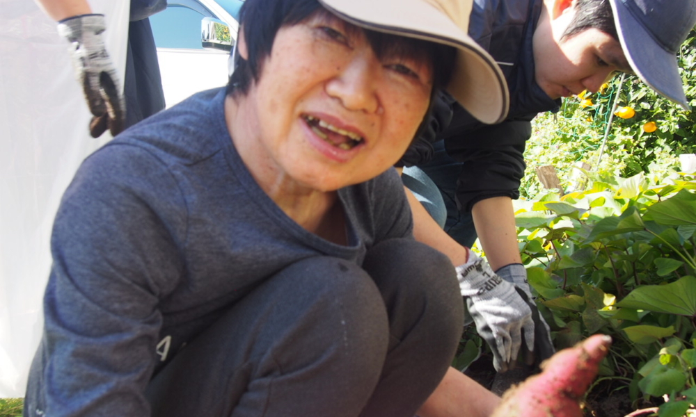 さやま園贅沢な芋ほり1